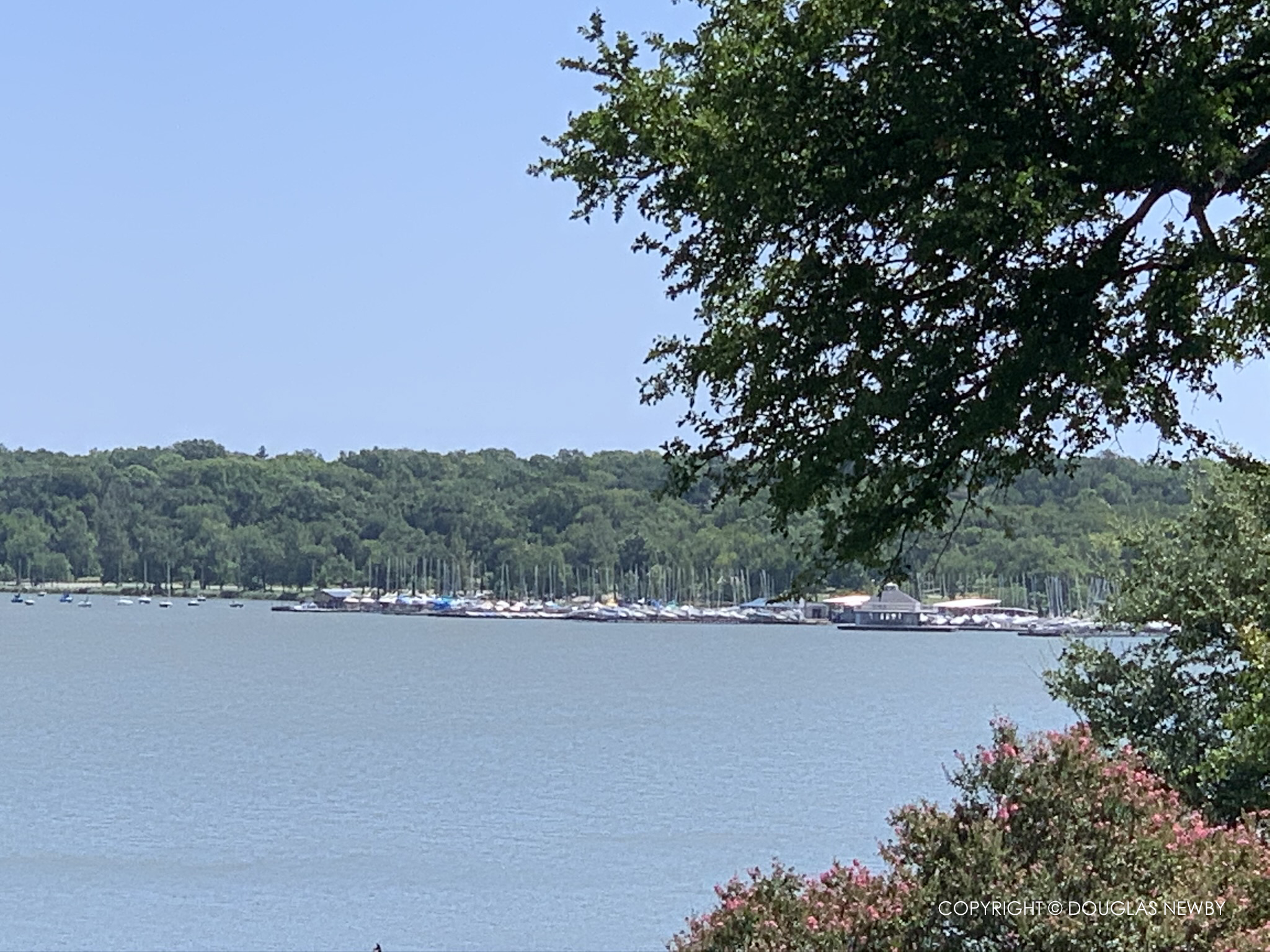 White Rock Lake homeowner enjoys view of sailboats.